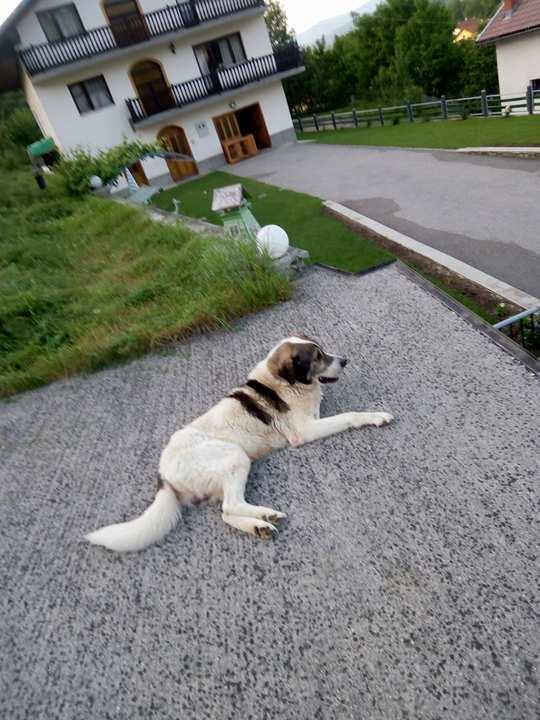 Holiday Home Nana Bugojno Kültér fotó